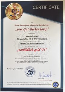 Zertifikat Urkunde